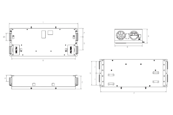 Immagine di dettaglio