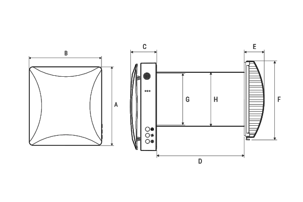 Immagine di dettaglio