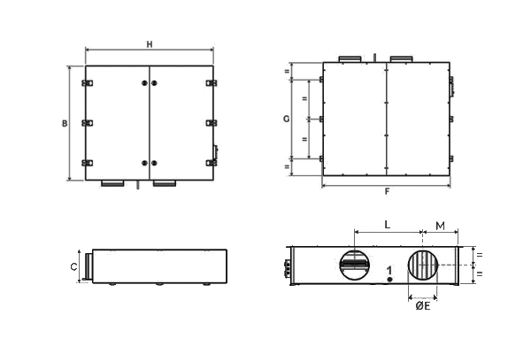 Immagine di dettaglio