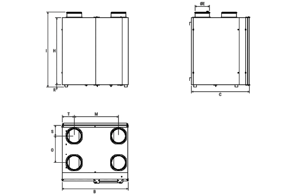 Immagine di dettaglio