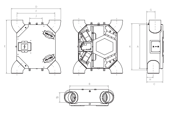 Immagine di dettaglio