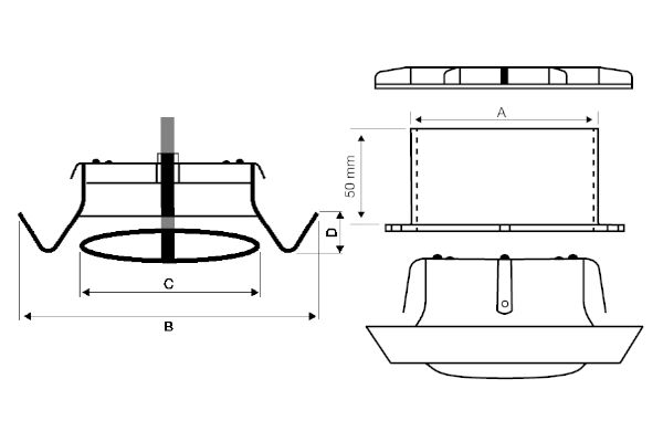 Immagine di dettaglio