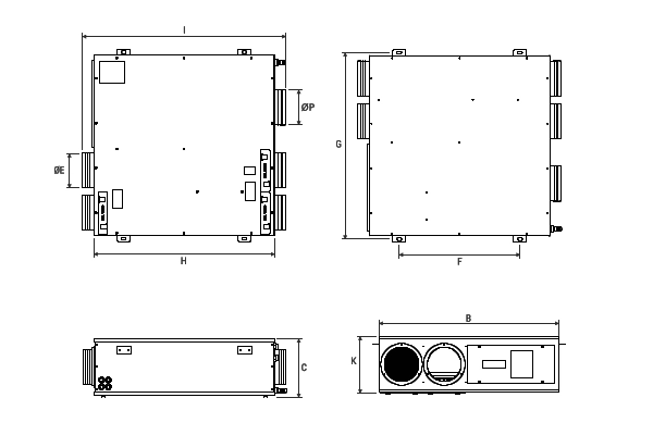 Immagine di dettaglio