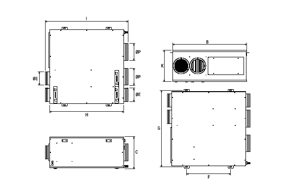 Immagine di dettaglio