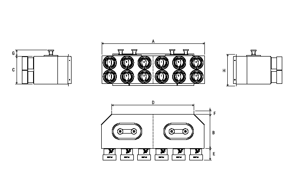 Immagine di dettaglio