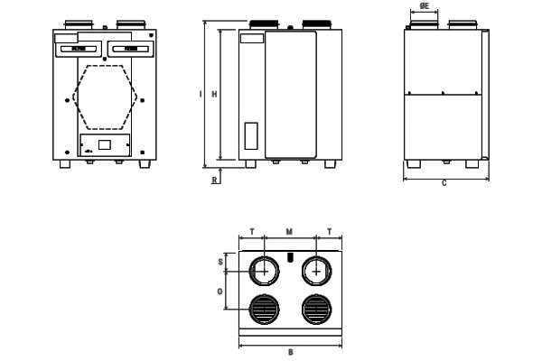 Immagine di dettaglio