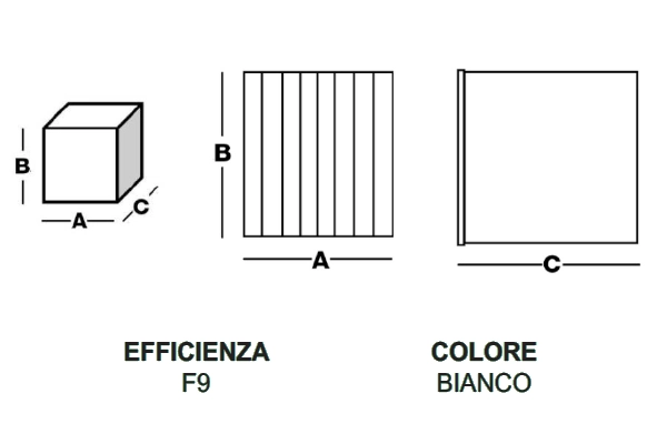 Immagine di dettaglio