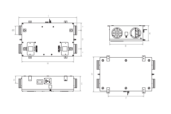 Immagine di dettaglio