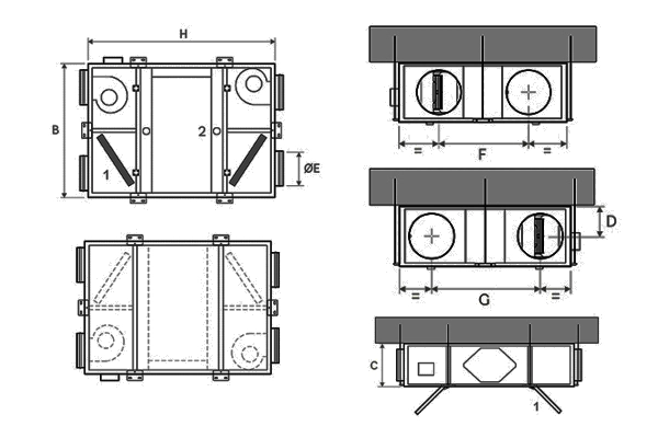 Immagine di dettaglio